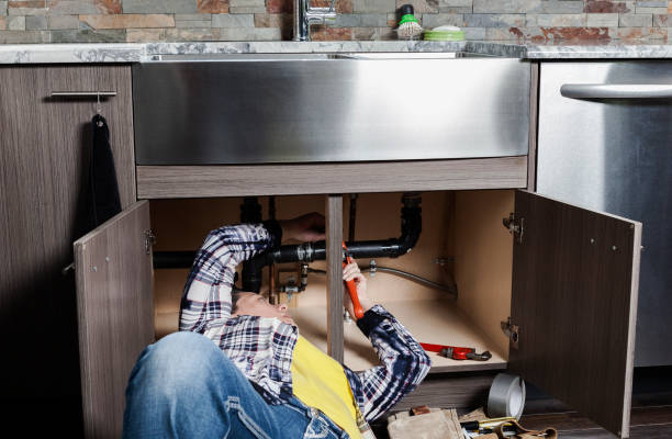 Best Affordable Plumbing Services  in Williamsport, MD